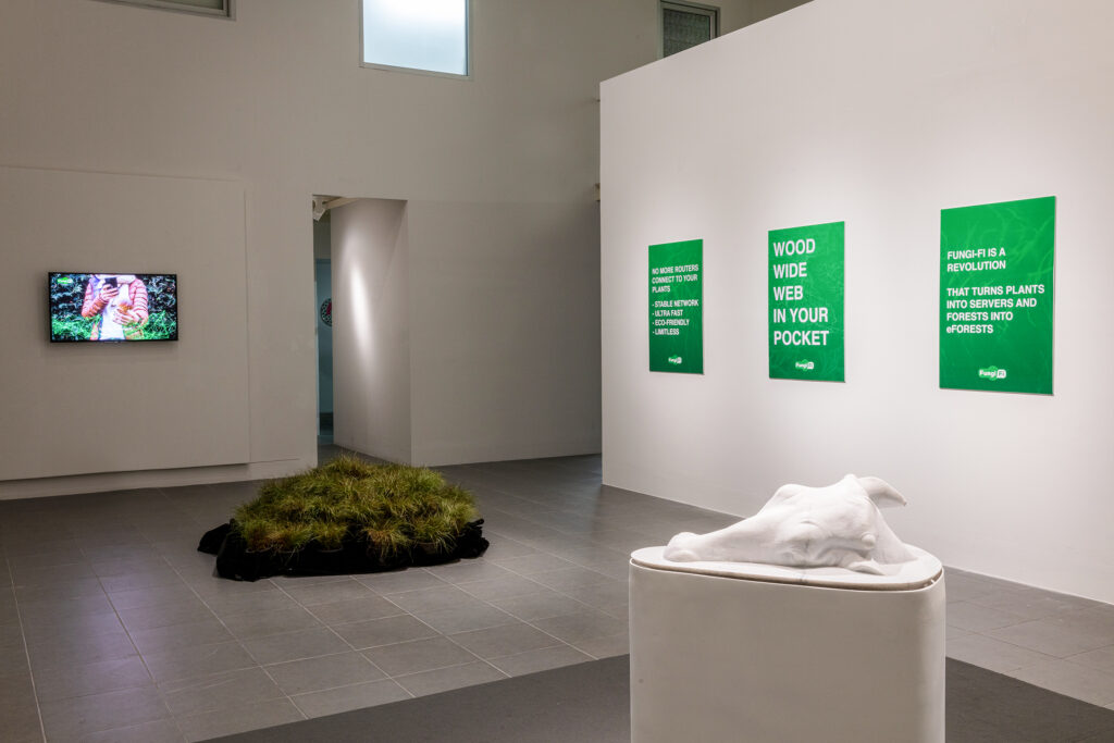 Installation view Fungi-Fi, Nōdus, Numthong Art Space, Bangkok, TH, september - october 2022. Courtesy Enrico Dedin